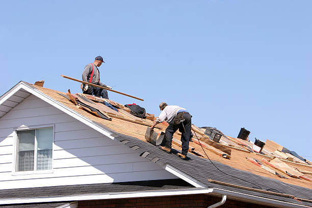 Best Tile Roofing Installation  in Minneota, MN