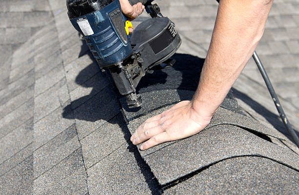 Best Roof Insulation Installation  in Minneota, MN